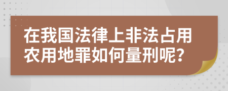 在我国法律上非法占用农用地罪如何量刑呢？