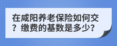 在咸阳养老保险如何交？缴费的基数是多少？