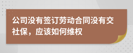 公司没有签订劳动合同没有交社保，应该如何维权