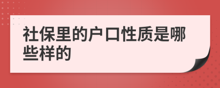 社保里的户口性质是哪些样的