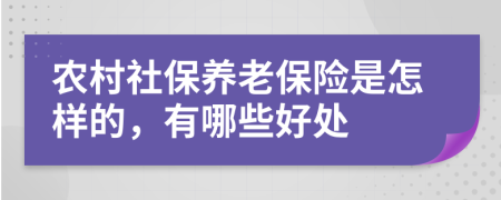 农村社保养老保险是怎样的，有哪些好处