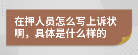 在押人员怎么写上诉状啊，具体是什么样的