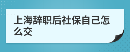 上海辞职后社保自己怎么交