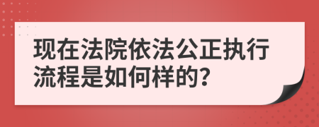 现在法院依法公正执行流程是如何样的？