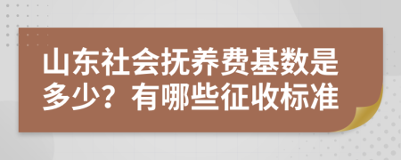 山东社会抚养费基数是多少？有哪些征收标准