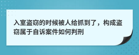 入室盗窃的时候被人给抓到了，构成盗窃属于自诉案件如何判刑