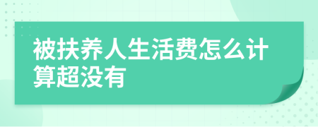 被扶养人生活费怎么计算超没有