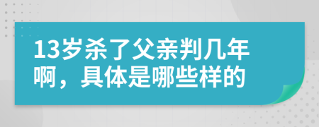 13岁杀了父亲判几年啊，具体是哪些样的