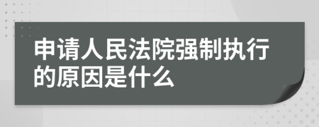 申请人民法院强制执行的原因是什么