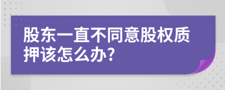 股东一直不同意股权质押该怎么办?