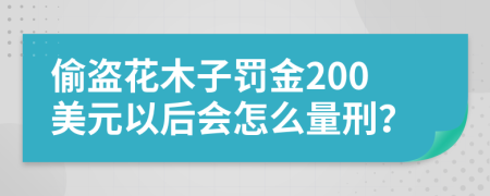 偷盗花木子罚金200美元以后会怎么量刑？