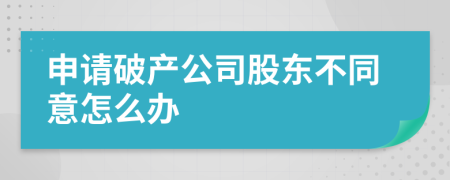 申请破产公司股东不同意怎么办