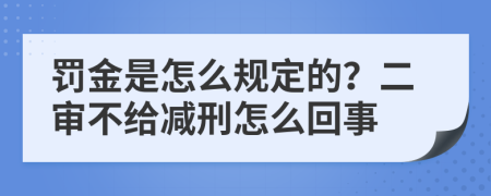 罚金是怎么规定的？二审不给减刑怎么回事