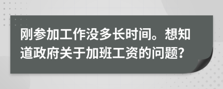 刚参加工作没多长时间。想知道政府关于加班工资的问题？