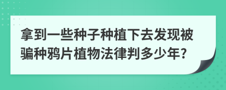 拿到一些种子种植下去发现被骗种鸦片植物法律判多少年?