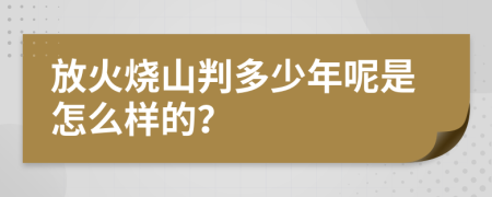 放火烧山判多少年呢是怎么样的？