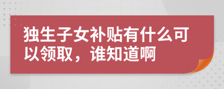 独生子女补贴有什么可以领取，谁知道啊