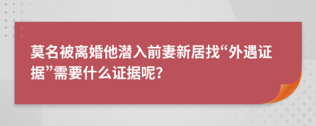 莫名被离婚他潜入前妻新居找“外遇证据”需要什么证据呢？