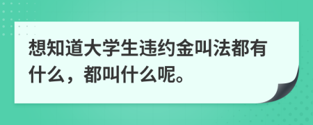 想知道大学生违约金叫法都有什么，都叫什么呢。