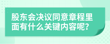 股东会决议同意章程里面有什么关键内容呢？