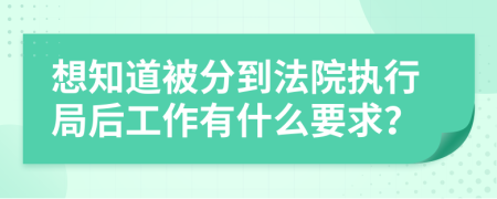 想知道被分到法院执行局后工作有什么要求？