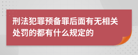 刑法犯罪预备罪后面有无相关处罚的都有什么规定的