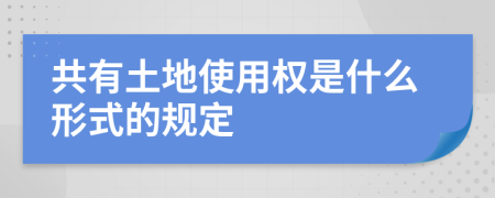 共有土地使用权是什么形式的规定