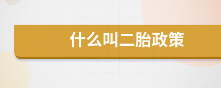 什么叫二胎政策