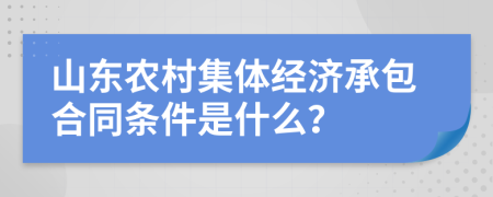 山东农村集体经济承包合同条件是什么？