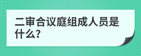 二审合议庭组成人员是什么？