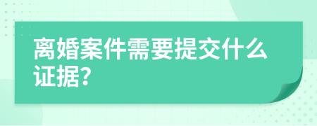 离婚案件需要提交什么证据？