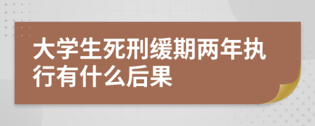 大学生死刑缓期两年执行有什么后果