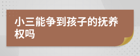 小三能争到孩子的抚养权吗