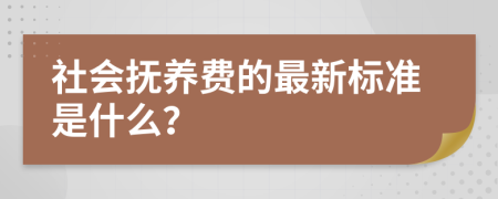 社会抚养费的最新标准是什么？