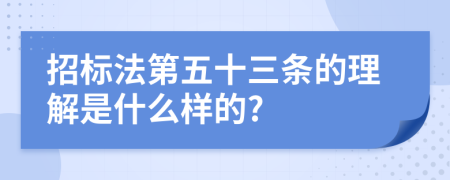 招标法第五十三条的理解是什么样的?