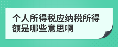 个人所得税应纳税所得额是哪些意思啊