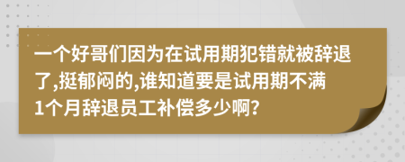 一个好哥们因为在试用期犯错就被辞退了,挺郁闷的,谁知道要是试用期不满1个月辞退员工补偿多少啊？