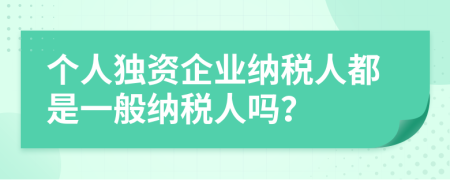 个人独资企业纳税人都是一般纳税人吗？