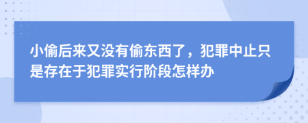 小偷后来又没有偷东西了，犯罪中止只是存在于犯罪实行阶段怎样办