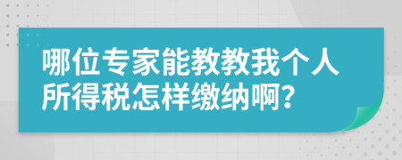 哪位专家能教教我个人所得税怎样缴纳啊？