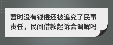 暂时没有钱偿还被追究了民事责任，民间借款起诉会调解吗