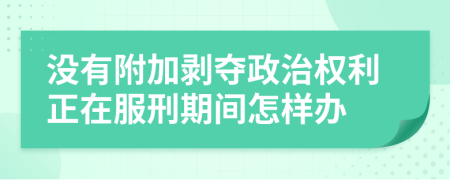 没有附加剥夺政治权利正在服刑期间怎样办