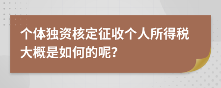 个体独资核定征收个人所得税大概是如何的呢？