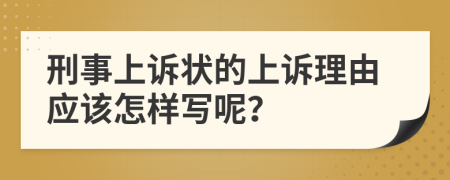 刑事上诉状的上诉理由应该怎样写呢？