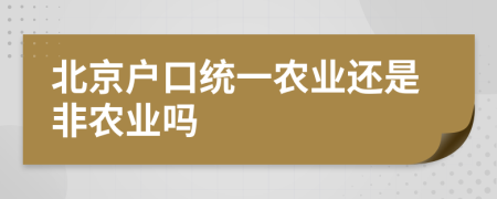 北京户口统一农业还是非农业吗