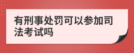 有刑事处罚可以参加司法考试吗