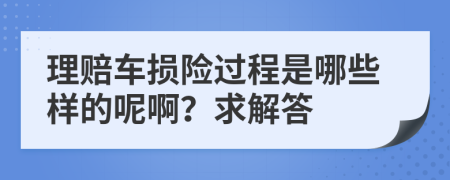 理赔车损险过程是哪些样的呢啊？求解答