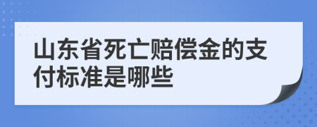 山东省死亡赔偿金的支付标准是哪些