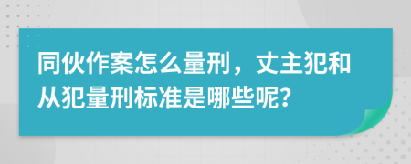 同伙作案怎么量刑，丈主犯和从犯量刑标准是哪些呢？