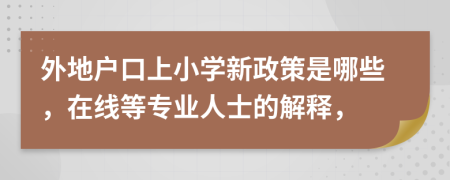 外地户口上小学新政策是哪些，在线等专业人士的解释，